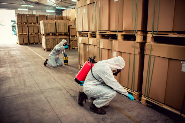 Best Affordable Pest Control Services  in Wauchula, FL