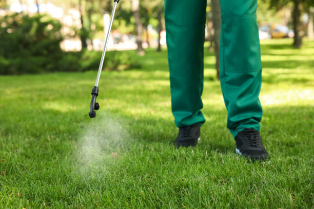 Trusted Wauchula, FL Pest Control Experts