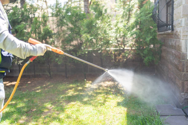 Best Residential Pest Control  in Wauchula, FL